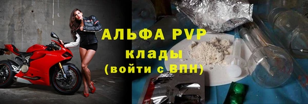 стафф Бердск