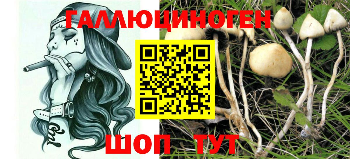 Вичуга  Меф  Cocaine  Хэш  Вход с VPN  Мефедрон  Где купить 