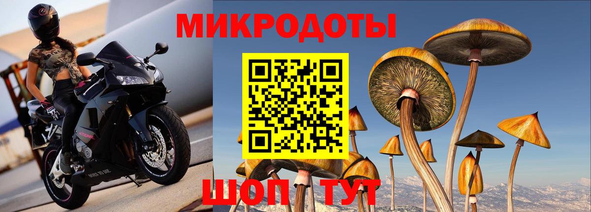 Галлюциногенные грибы GOLDEN TEACHER  Галлюциногенные грибы Cubensis  Вичуга 