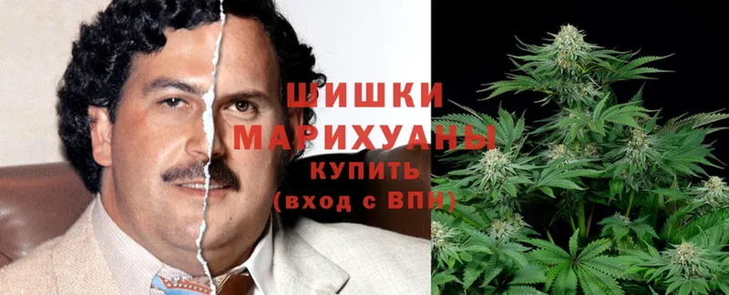 как найти закладки  Вичуга  Бошки марихуана Bruce Banner 